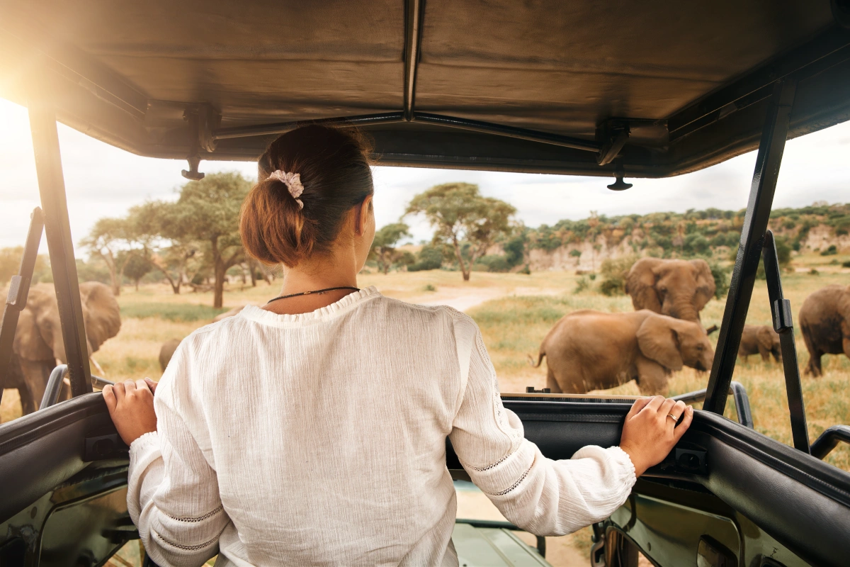 Woman on safari viewing elephants.