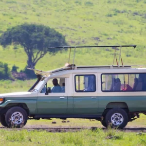 Safari vehicle on grassy savanna.