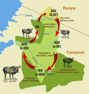 Map of Serengeti wildebeest migration route.