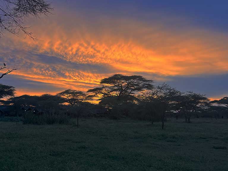 A vibrant sunset over the plains of Tarangire National Park, Tanzania during a wildlife safari with Great African Safari